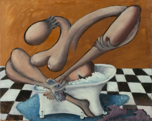 498 Intimidad en el bidé